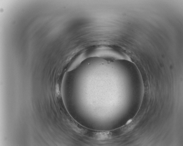 X0000065260089200602211301