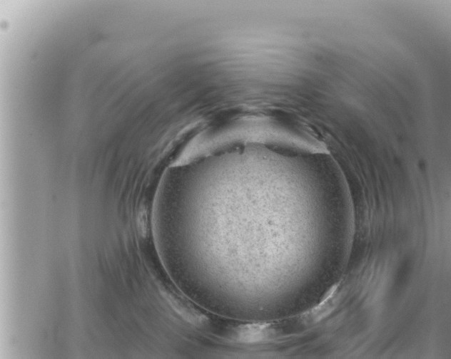 X0000065260090200602211301