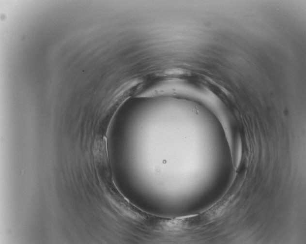 X0000065260092200602211301