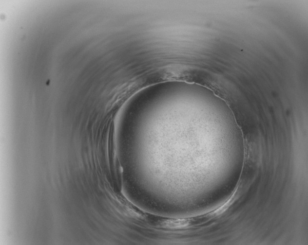 X0000065260094200602211301