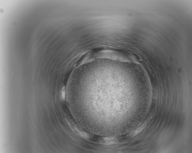 X0000065260095200602211301