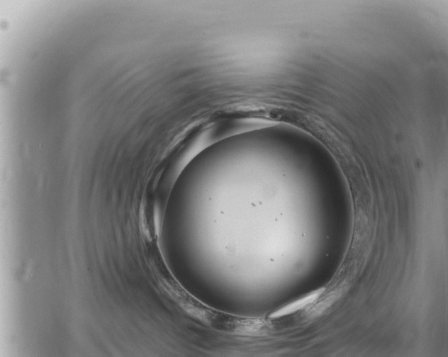 X0000065260096200602211301