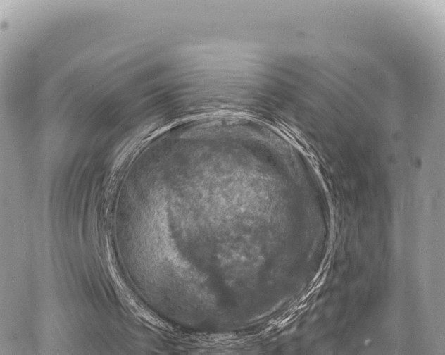 X0000065260097200602211300