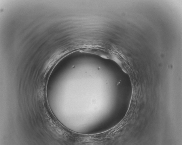 X0000065260098200602211300