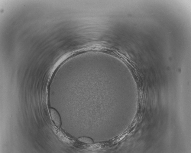 X0000065260100200602211300