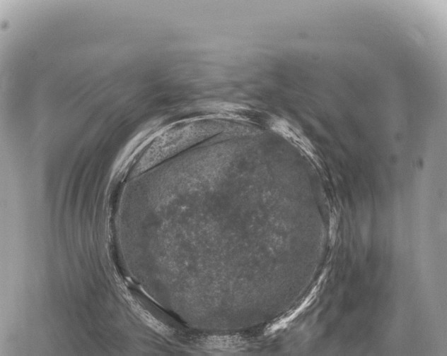 X0000065260101200602211300