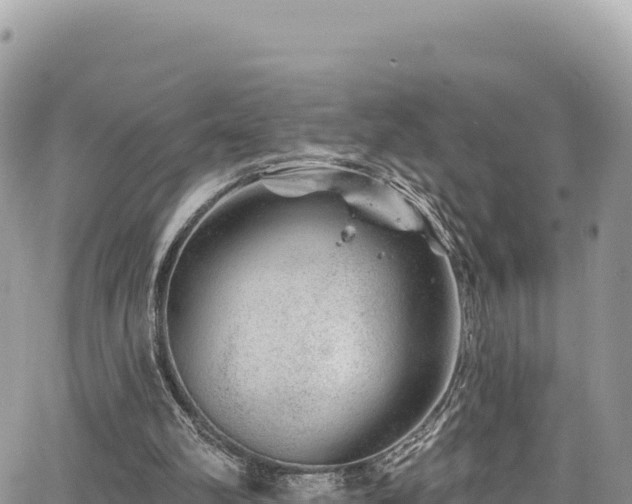 X0000065260102200602211300