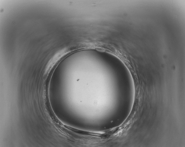 X0000065260103200602211300