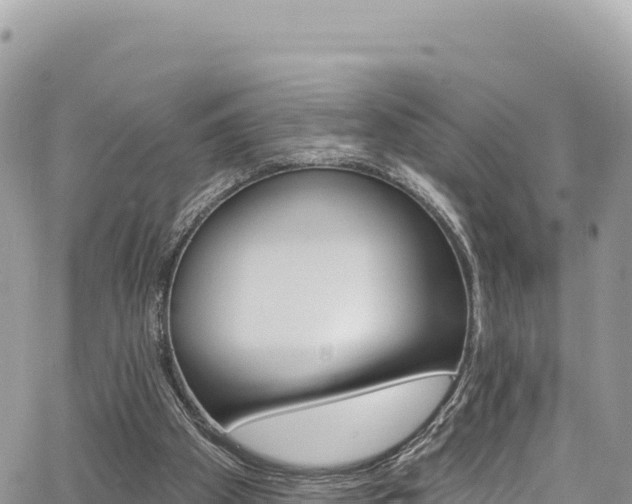 X0000065260105200602211300