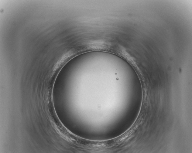 X0000065260106200602211300