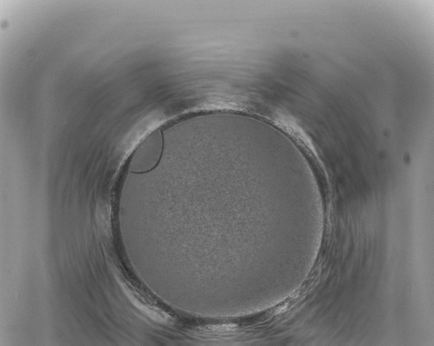 X0000065260108200602211300