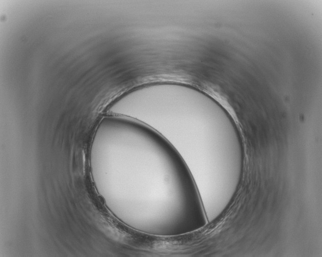 X0000065260109200602211300