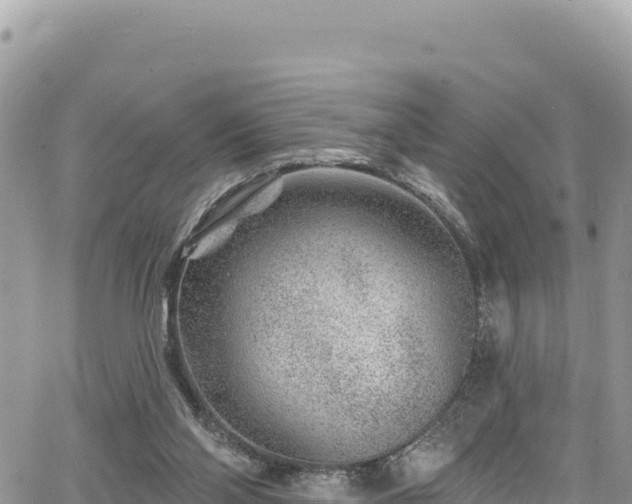 X0000065260110200602211300