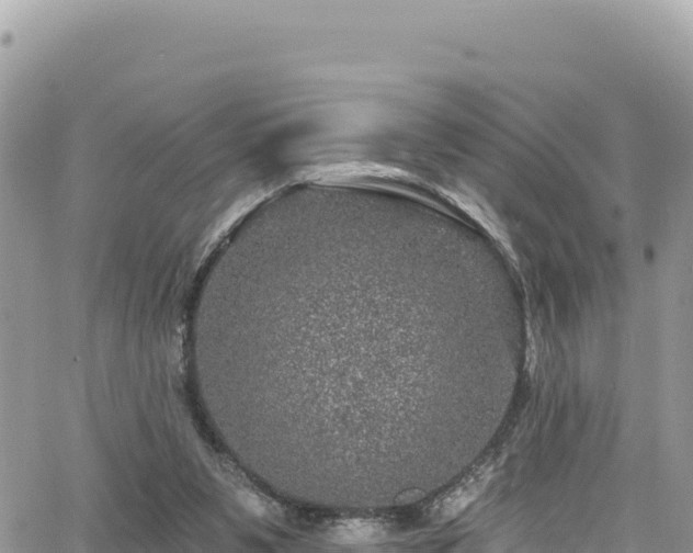 X0000065260111200602211300