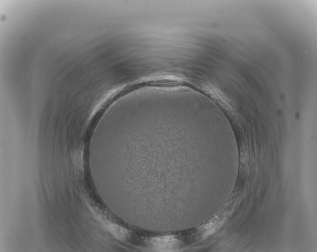 X0000065260112200602211300