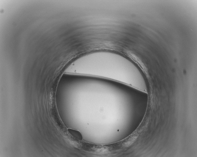 X0000065260113200602211300