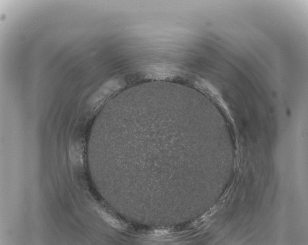 X0000065260114200602211300