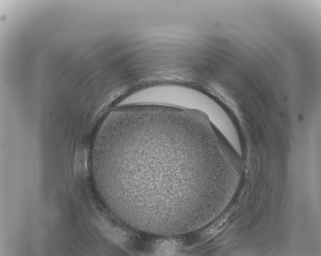 X0000065260115200602211300