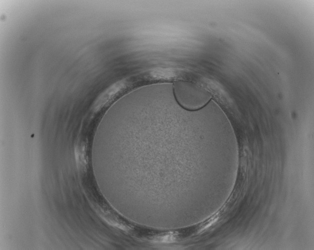 X0000065260116200602211300