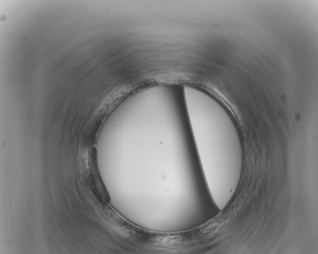 X0000065260117200602211300