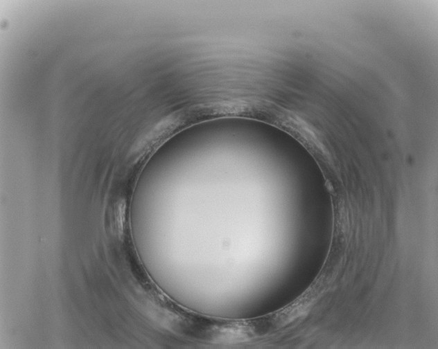 X0000065260118200602211300