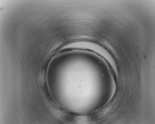 X0000065260119200602211300