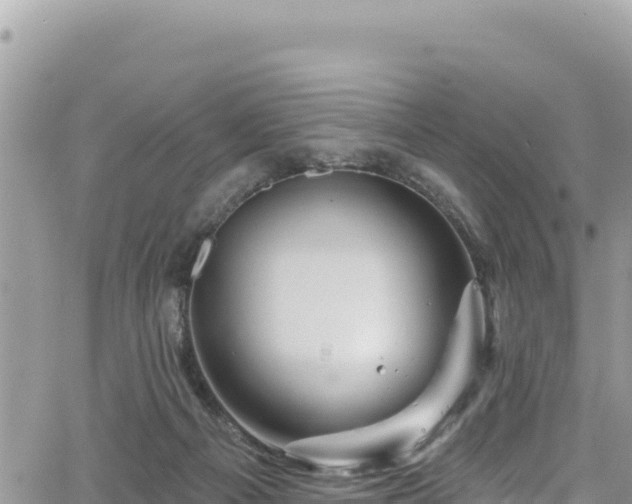 X0000065260121200602211259