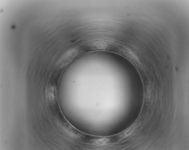 X0000065260122200602211259