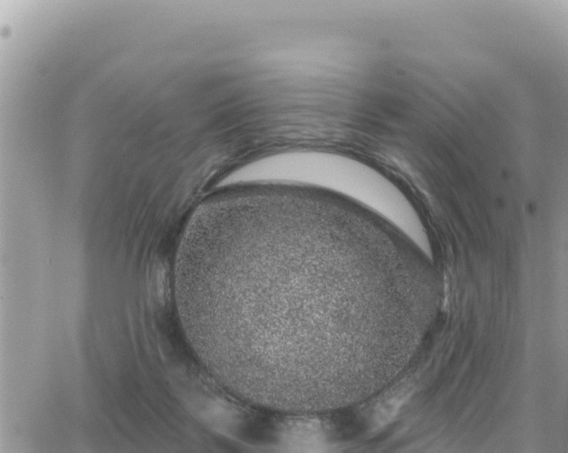 X0000065260123200602211259