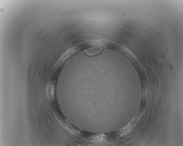 X0000065260124200602211259