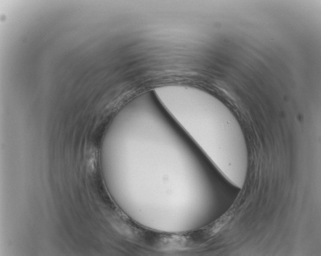 X0000065260125200602211259