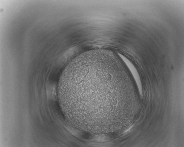 X0000065260127200602211259