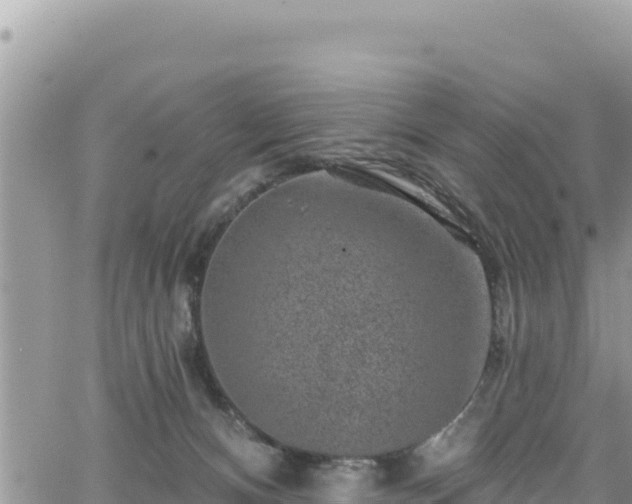 X0000065260128200602211259