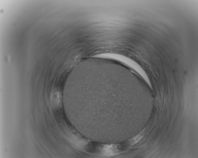 X0000065260130200602211259