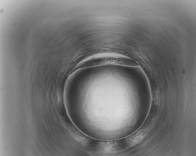 X0000065260131200602211259