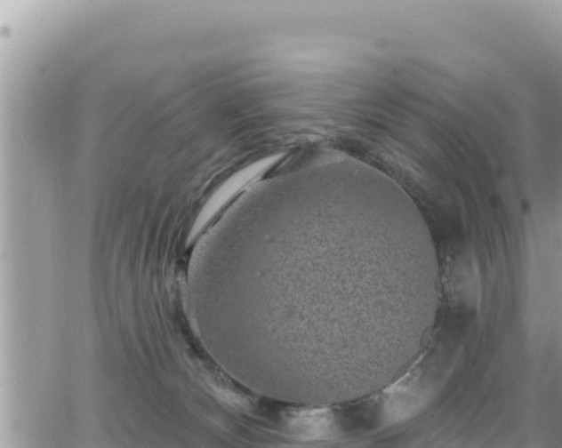 X0000065260132200602211259