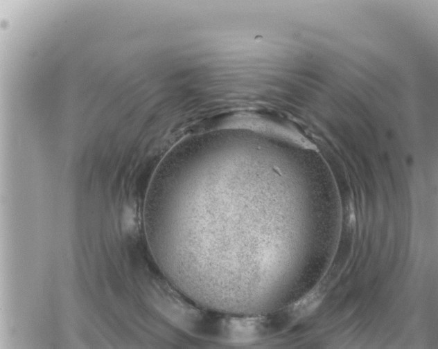 X0000065260134200602211259