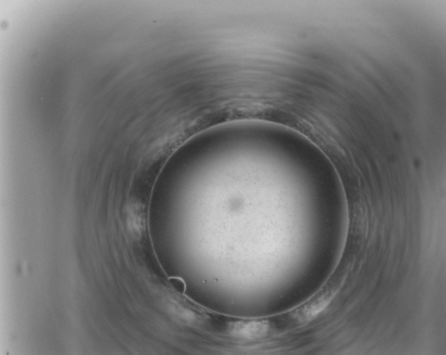 X0000065260135200602211259