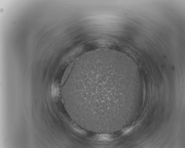 X0000065260137200602211259