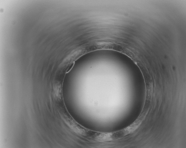 X0000065260138200602211259