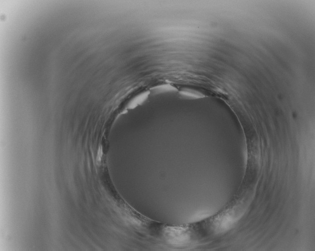 X0000065260139200602211259