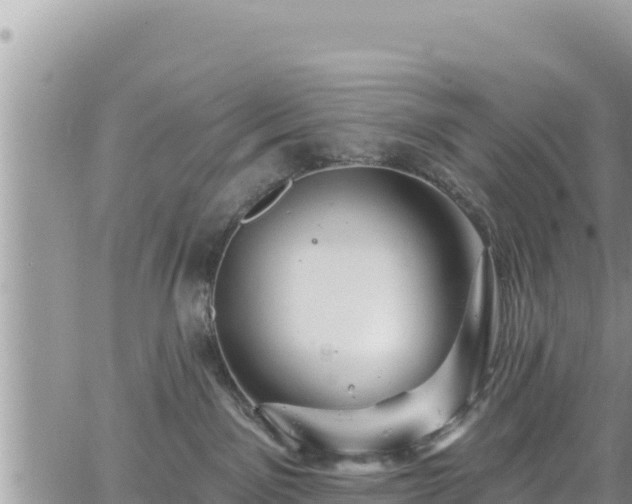 X0000065260141200602211259