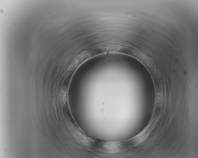 X0000065260142200602211259