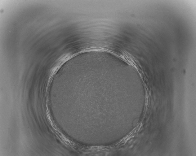 X0000065260145200602211258