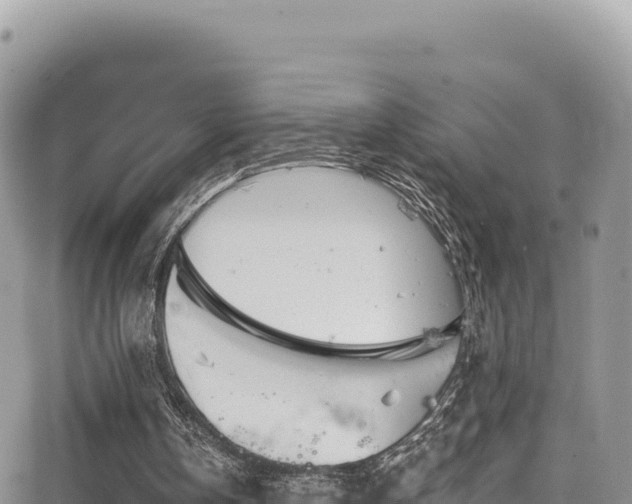 X0000065260146200602211258