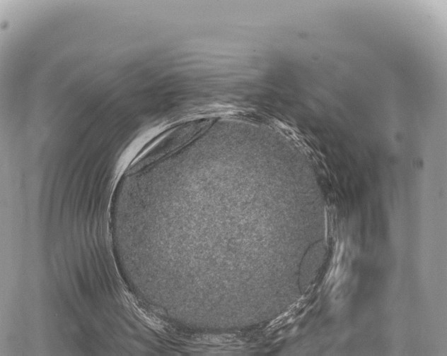 X0000065260147200602211258