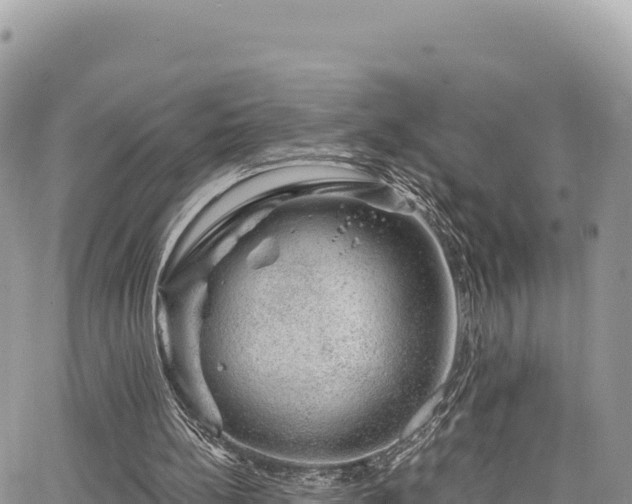 X0000065260148200602211258