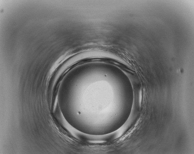 X0000065260150200602211258