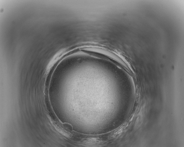 X0000065260151200602211258