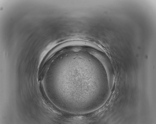 X0000065260152200602211258